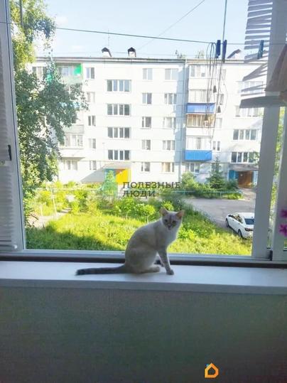 3-комн. квартира, 59.8 м&sup2;