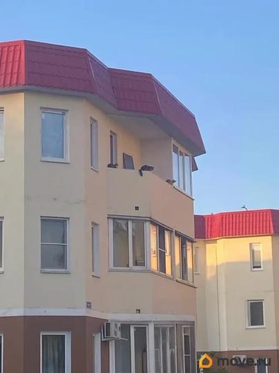 студия, 25.5 м&sup2;