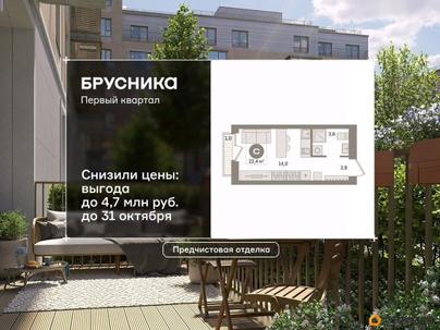 студия, 22.43 м&sup2;