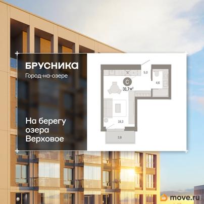 студия, 31.71 м&sup2;