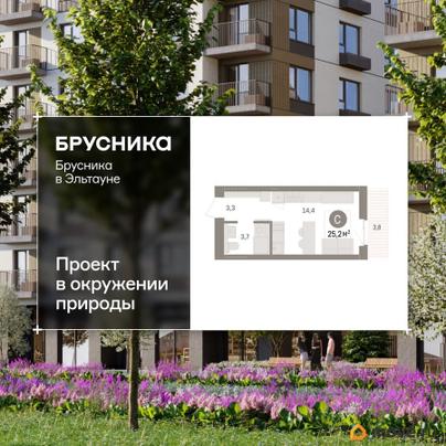 студия, 25.19 м&sup2;