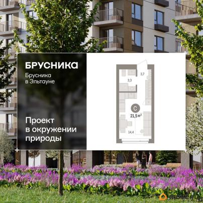 студия, 21.45 м&sup2;